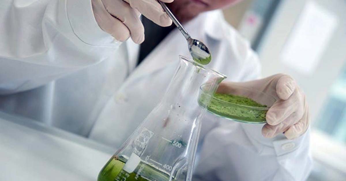 Resveratrol and Cinnamaldehyde: Potential natural Phytogenic additives