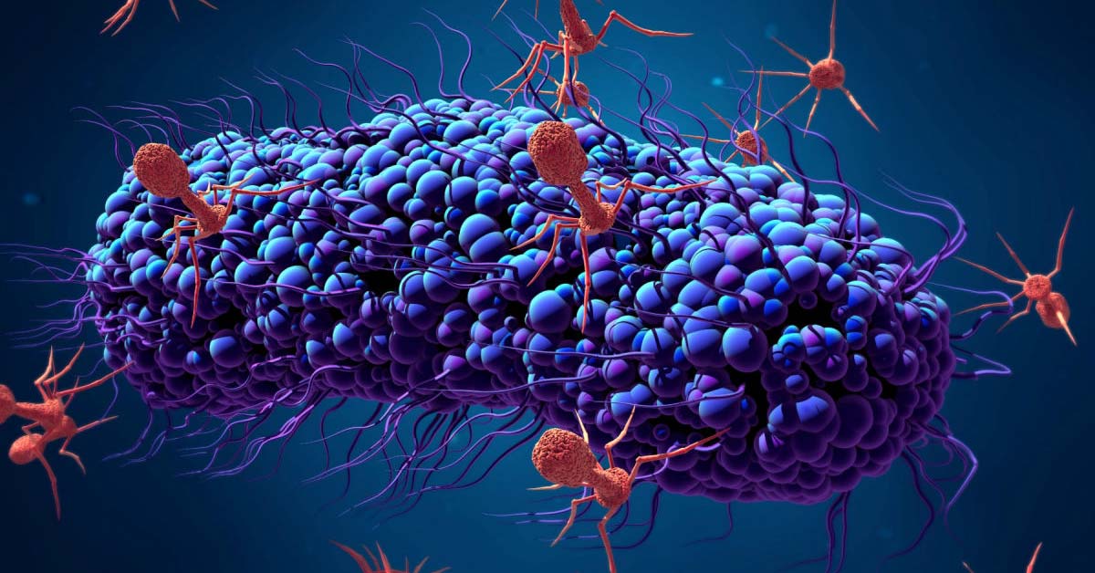 Bacteria Evolve to Outsmart Last-Resort Antibiotics, Study Maps How Resistance Takes Shape