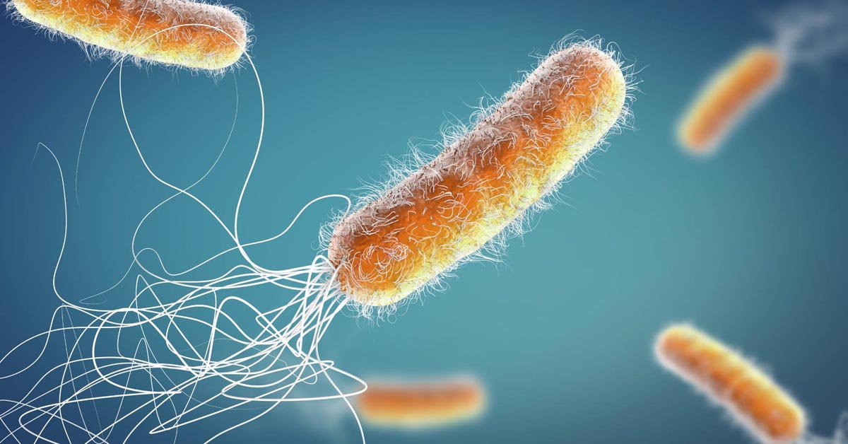 Global Study Reveals That Most Municipal Wastewater Suppresses Antibiotic-Resistant Bacteria
