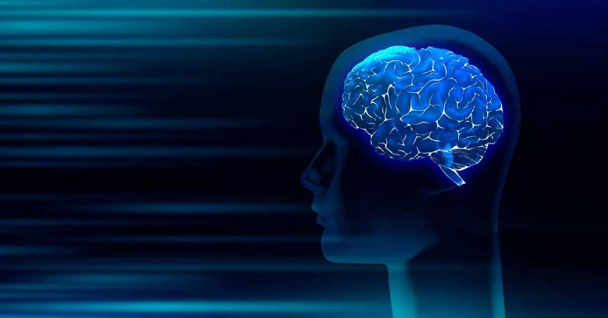 Camelid Nanobodies Show New Promise for Treating Brain Disorders