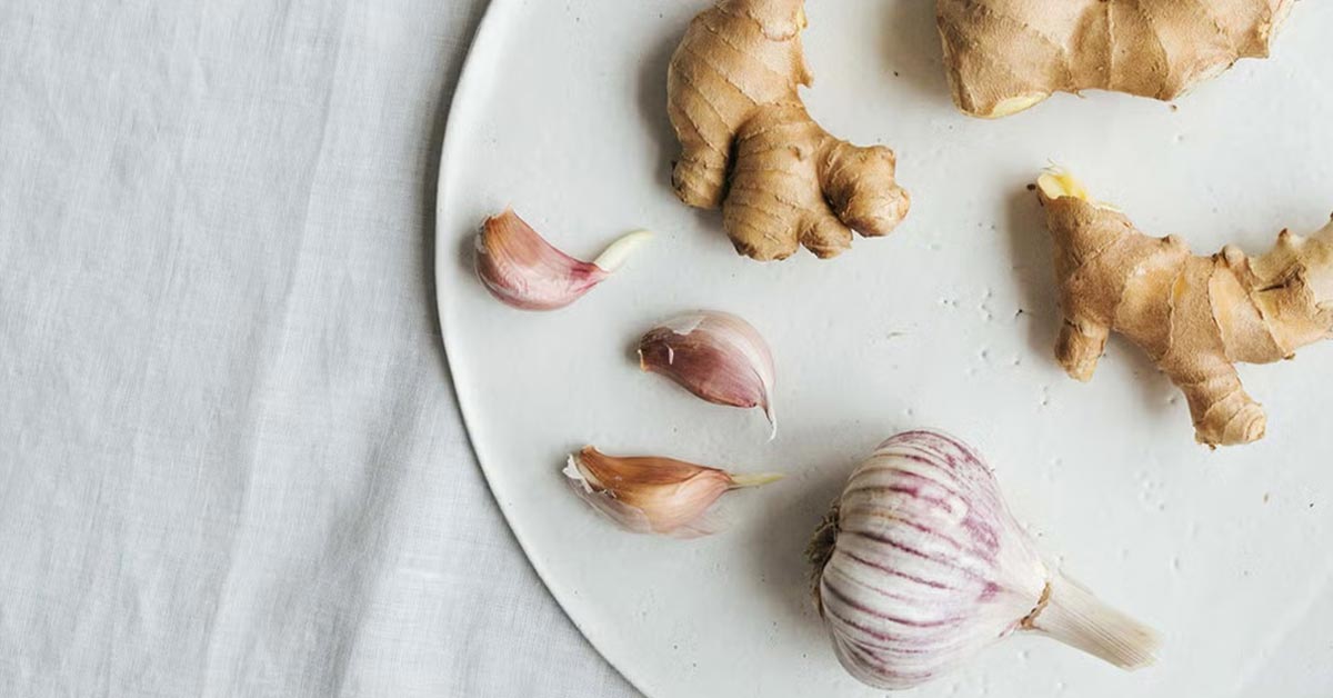 New Study Examines the Safety of Garlic and Ginger Using Mouse Experiments and Computer Modeling