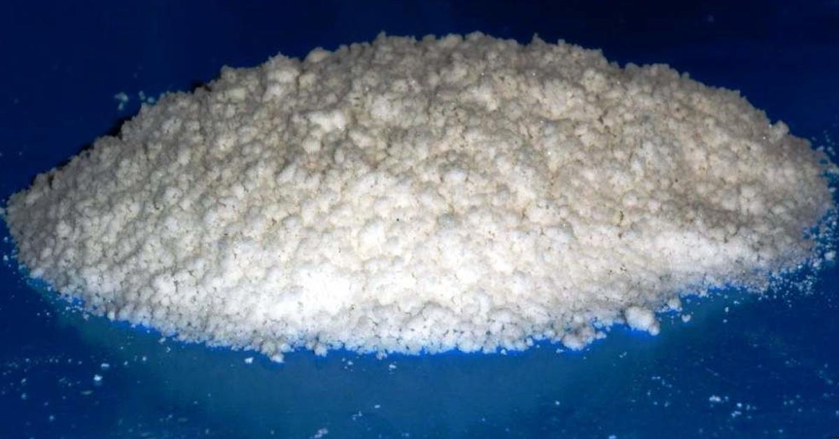 Sodium Selenite Found to Disrupt Heart, Nerve, and Behavioral Functions in Insects and Crustaceans