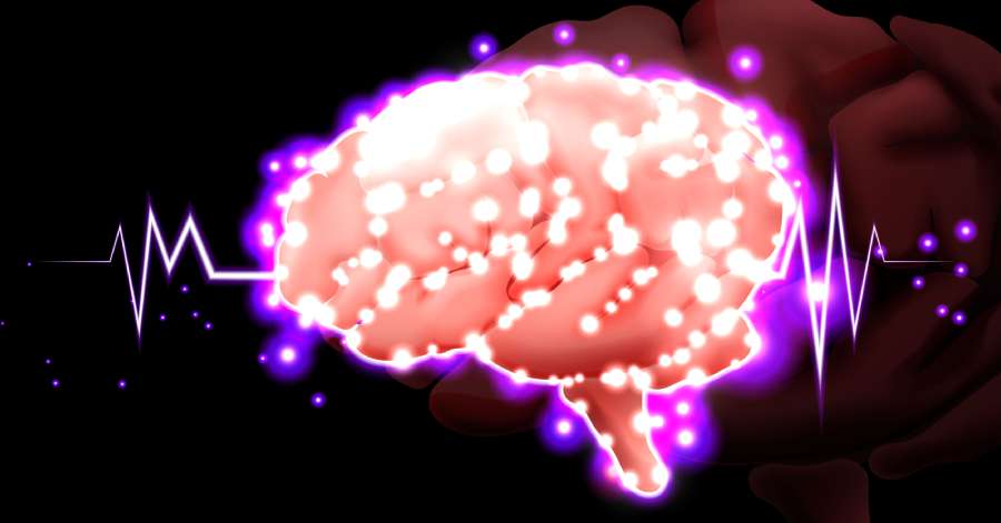 Brain “Cleanup” Strategy Shows Promise in Reducing Epileptic Seizures and Restoring Memory