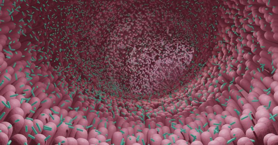 Your Roommate’s Genes May Be Shaping Your Gut Bacteria