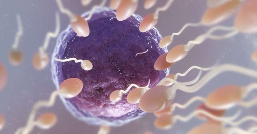 New Study Warns: Widely Used Pesticide ‘DDVP’ May Cause Severe Reproductive Damage